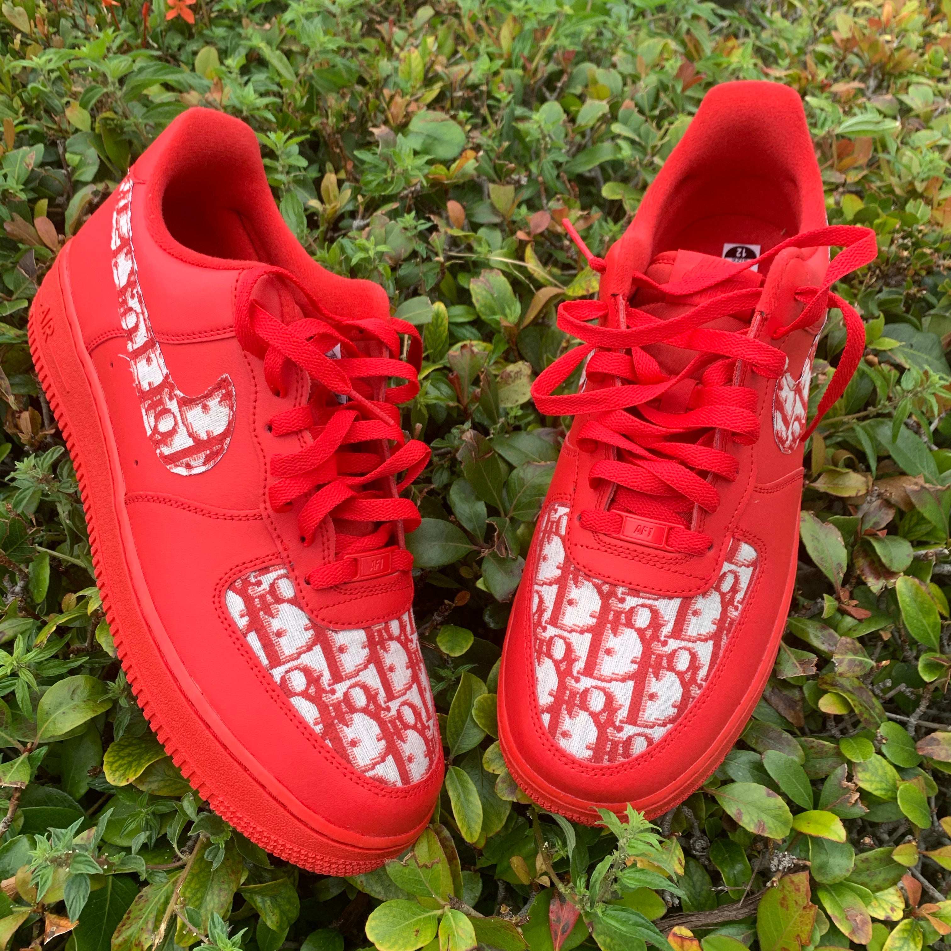 Red Dior forces
